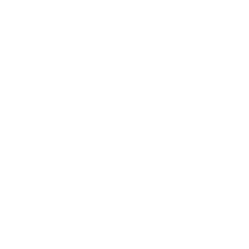 Michelle Jamesina